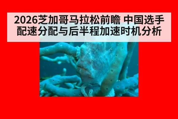 2026芝加哥马拉松前瞻 中国选手配速分配与后半程加速时机分析